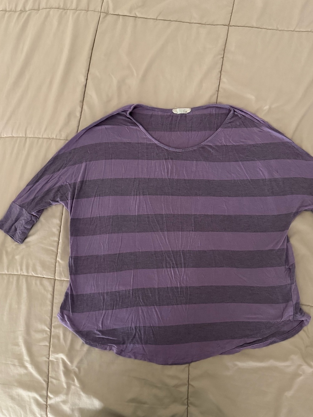 Lush Purple Striped Dolman Sleeve Top